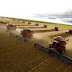 Brasil retoma o posto de maior produtor de soja do planeta