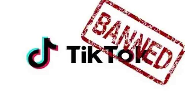 YOUTUBER'S REACTION ON TIKTOK BAN!