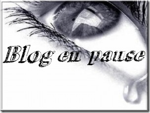 blog%20en%20pause