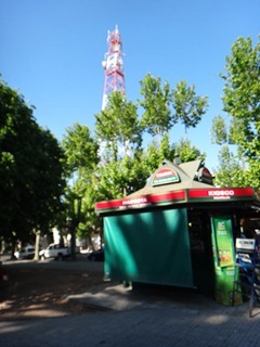 116dev-DSC02783
