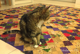 Bonnie Hunter's Easy Street Mystery Quilt with Cat