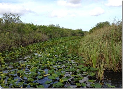 2014-04-04-Everglades06