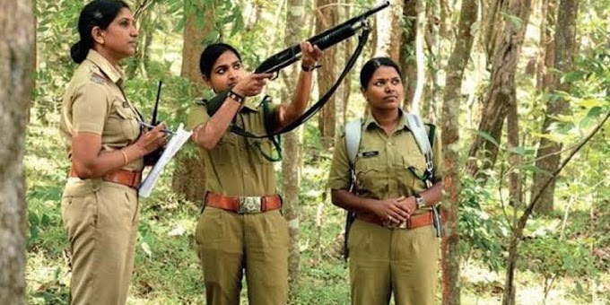 Forest Department Recruitment 2021|Salary:- ₹20,200 | 10th, 12th Pass Govt Jobs
