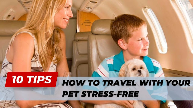Tips How to Travel with Your Pet