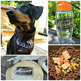 doberman puppy mix Merrick dog food