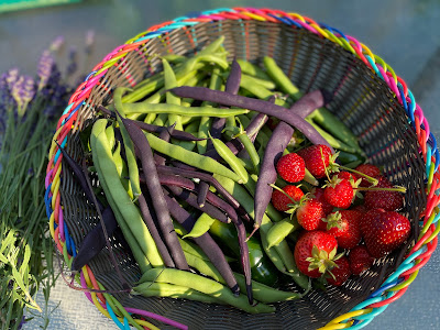 Strawberries and beans