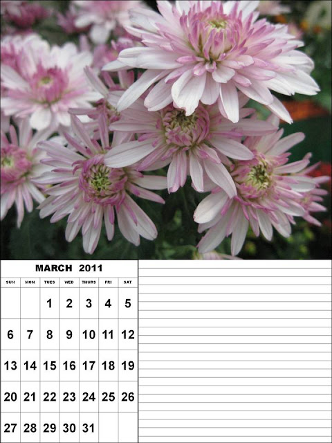 free yearly calendar 2011. +2011+calendar+printable