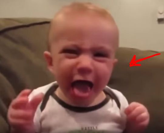 Inilah Reaksi Lucu Bayi Saat Pertama Makan Jeruk Nipis ...