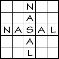 Nasal 5x5