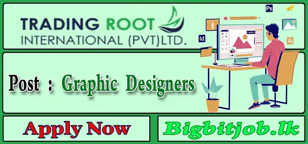 Trading Root International Job Vacancies - Graphic Designers 2023
