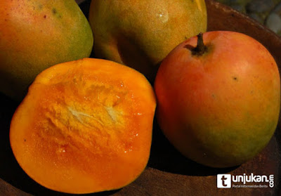 Manfaat Kulit buah mangga yang belum pernah anda ketahui