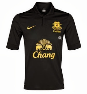 Everton trikot 2013