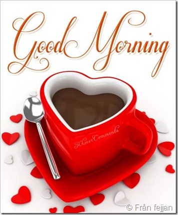 morning