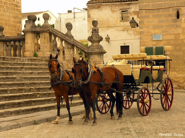 Coche de caballos