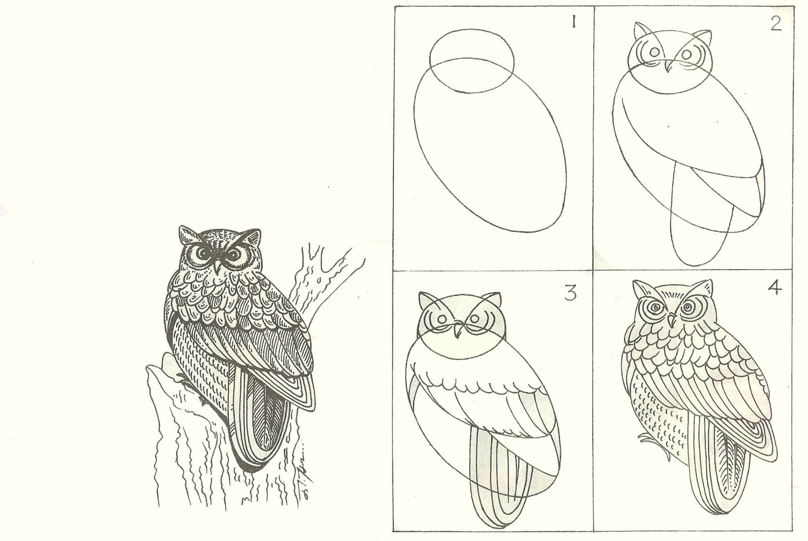 studentsdrawing: ANIMAL STEP BY STEP EASY OUTLINE DRAWING-BIRD-AANTHAI