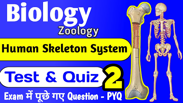 Human Skeleton System मानव कंकाल तंत्र Quiz 