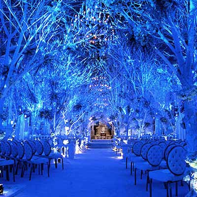 Winter Wonderland Wedding Theme