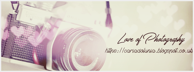 Loveofphotography 