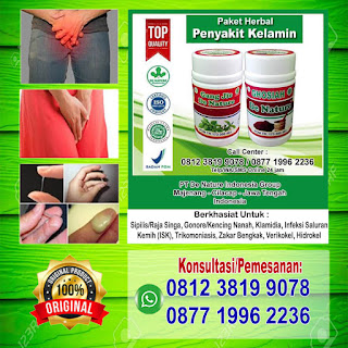 Daftar Obat Testis Bengkak Dan Nyeri Paling Ampuh Terlaris Di Apotik