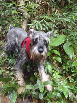 Trekking 5 (35)