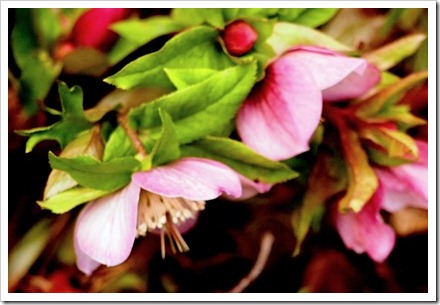 16 Feb 1 16-02-2012 13-15-41