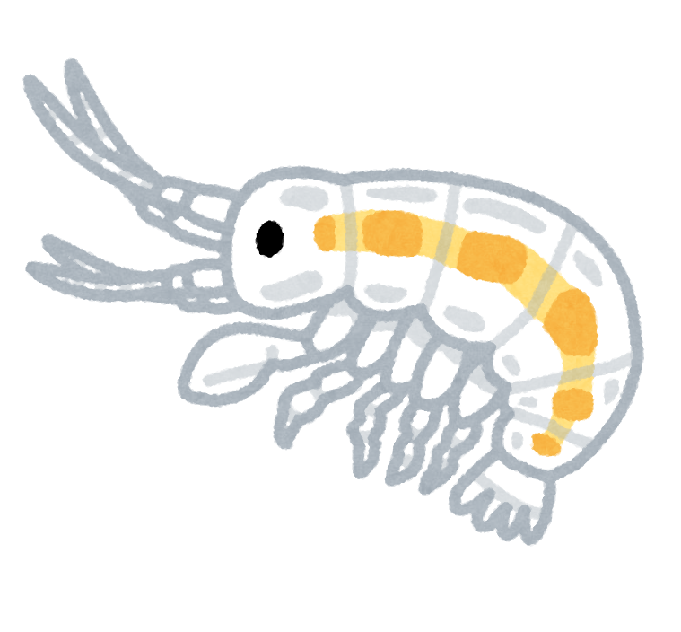 ヨコエビのイラスト かわいいフリー素材集 いらすとや ヨコエビのイラスト かわいいフリー素材集 いらすとや
