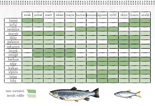 Hangi Balık Hangi Mevsimde Tutulur