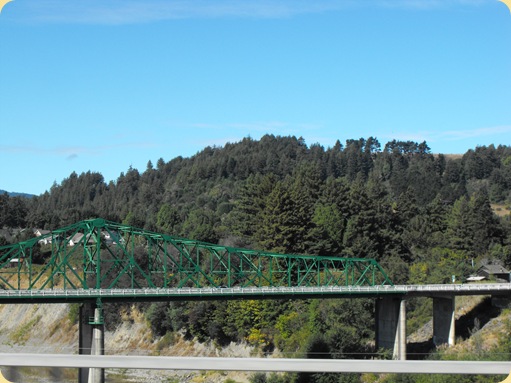 Avenue of the Giants-Ancient Redwoods 020