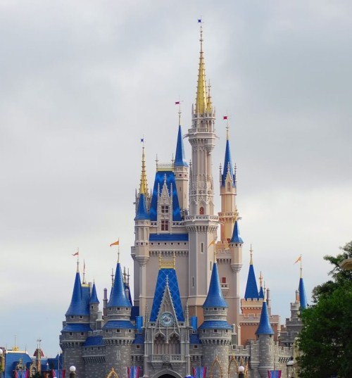 Day and Night of Walt Disney World Castle (10 photos)