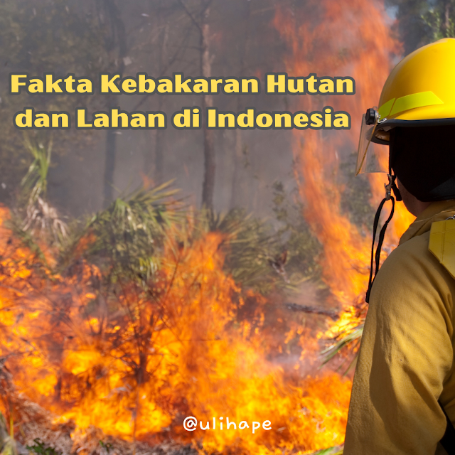 Kebakaran hutan