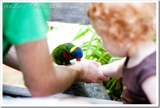 20120716-IMG_6882-2