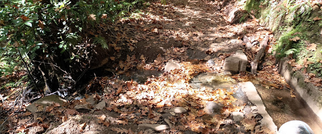 Water diverted from Levada da Serra do Faial