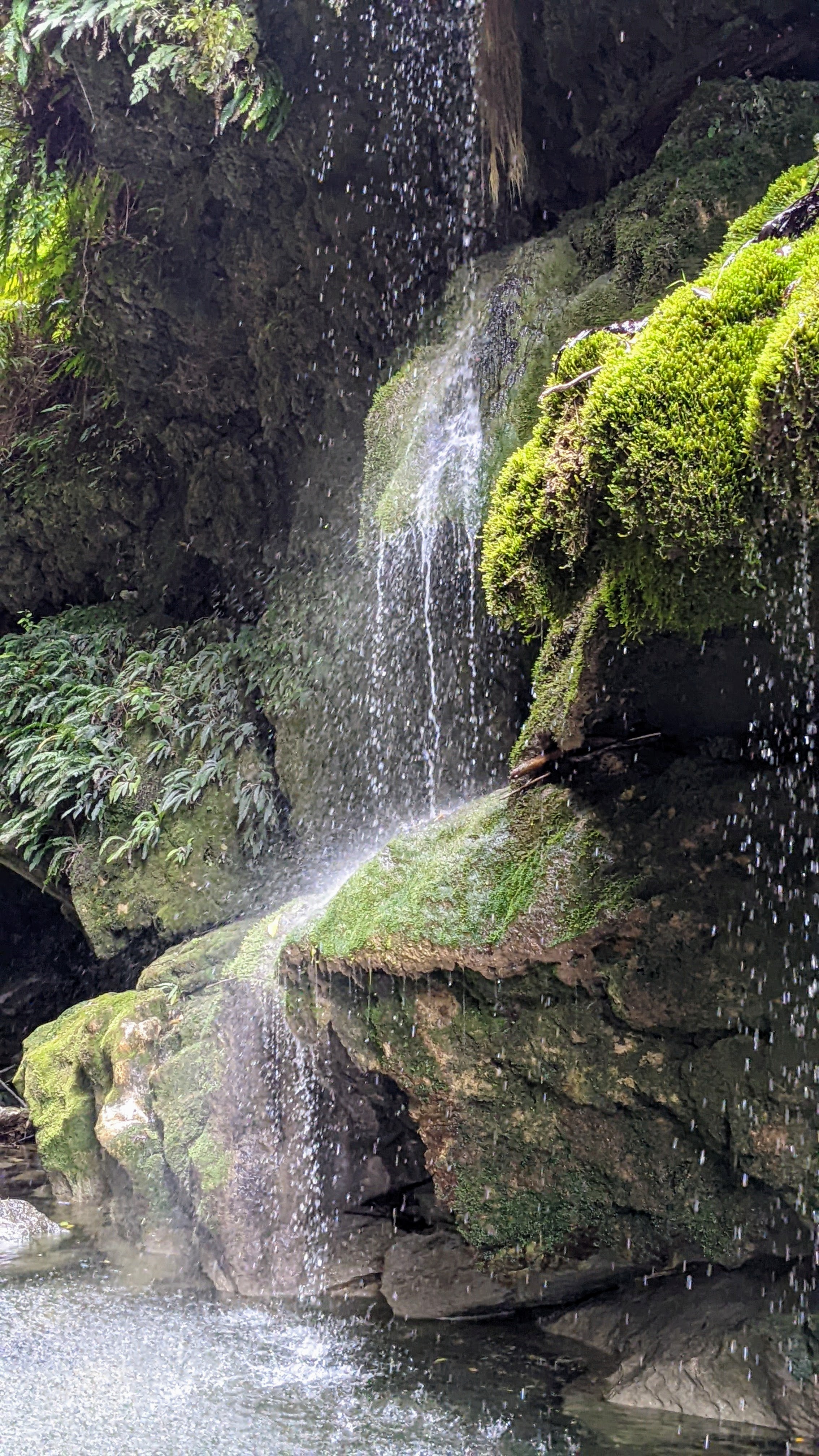 Mini waterfall running down the green covered Patuna Chasm wall