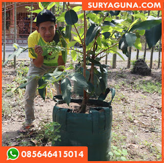  planter bag dari suryaguna 085646415014