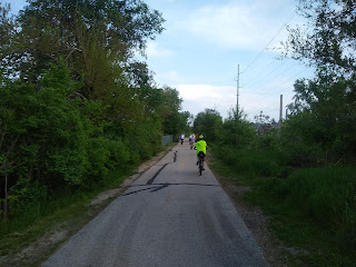 cyclists on wooded trail