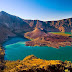 Bunga Edelweis Nan Elok Di Gunung Rinjani 