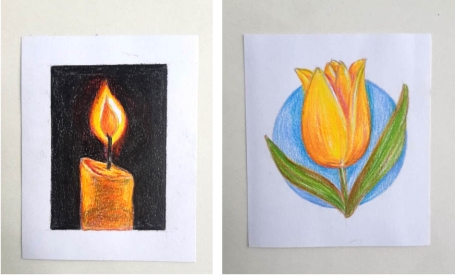 Drawing a Candle and Tulip Using Colored Pencils