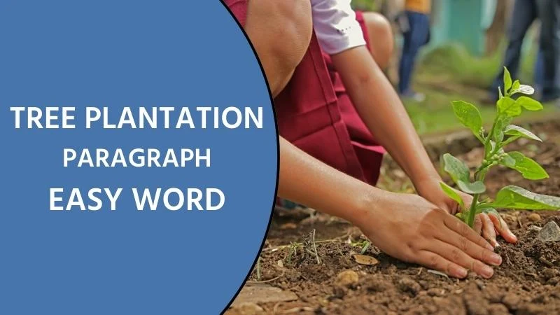 Tree plantation Paragraph Easy Word - (HSC, SSC, JSC)