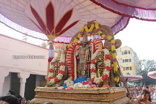 Ippasi Thirumoolam,Sattrumurai, Manavala Maamunigal,Purappadu,2016, Video, Divya Prabhandam,Triplicane,Thiruvallikeni,Utsavam,