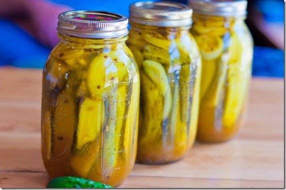 zesty bread butter pickles-4843