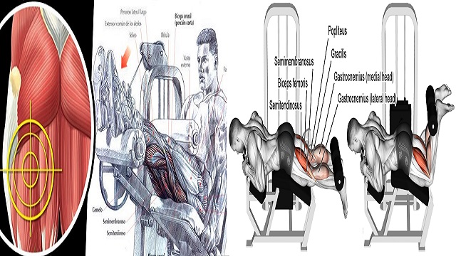 Technique for Seated Hamstring Curls and Common Errors