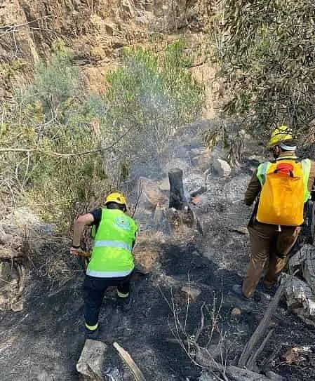 Fire of the Amad Mountain in Taif is under control, No injuries reported