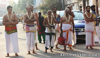 Thanga Pallakku,Udaiyavar ,Sashrabdhi Utsavam, Ramanujar,Emperumanar, Thiruvallikeni, Sri PArthasarathy Perumal, Temple, 2017, Video, Divya Prabhandam,Utsavam,