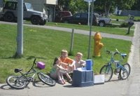 Lemonade Stands in Alaska