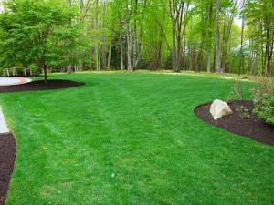 http://www.ohioturfsolutions.com/lawn-care/