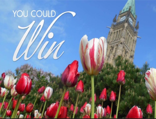 Home Hardware Canada 150 Tulip Giveaway