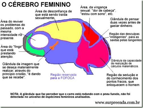 cerebrodeledela