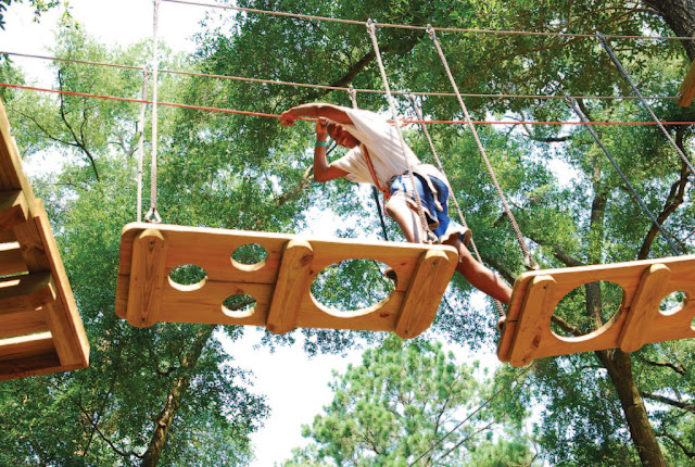 Tallahassee Museum's Tree to Tree Adventures Zip Line and Obstacle Course