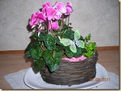 DSCN2334