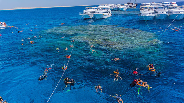 Egypt Red Sea
